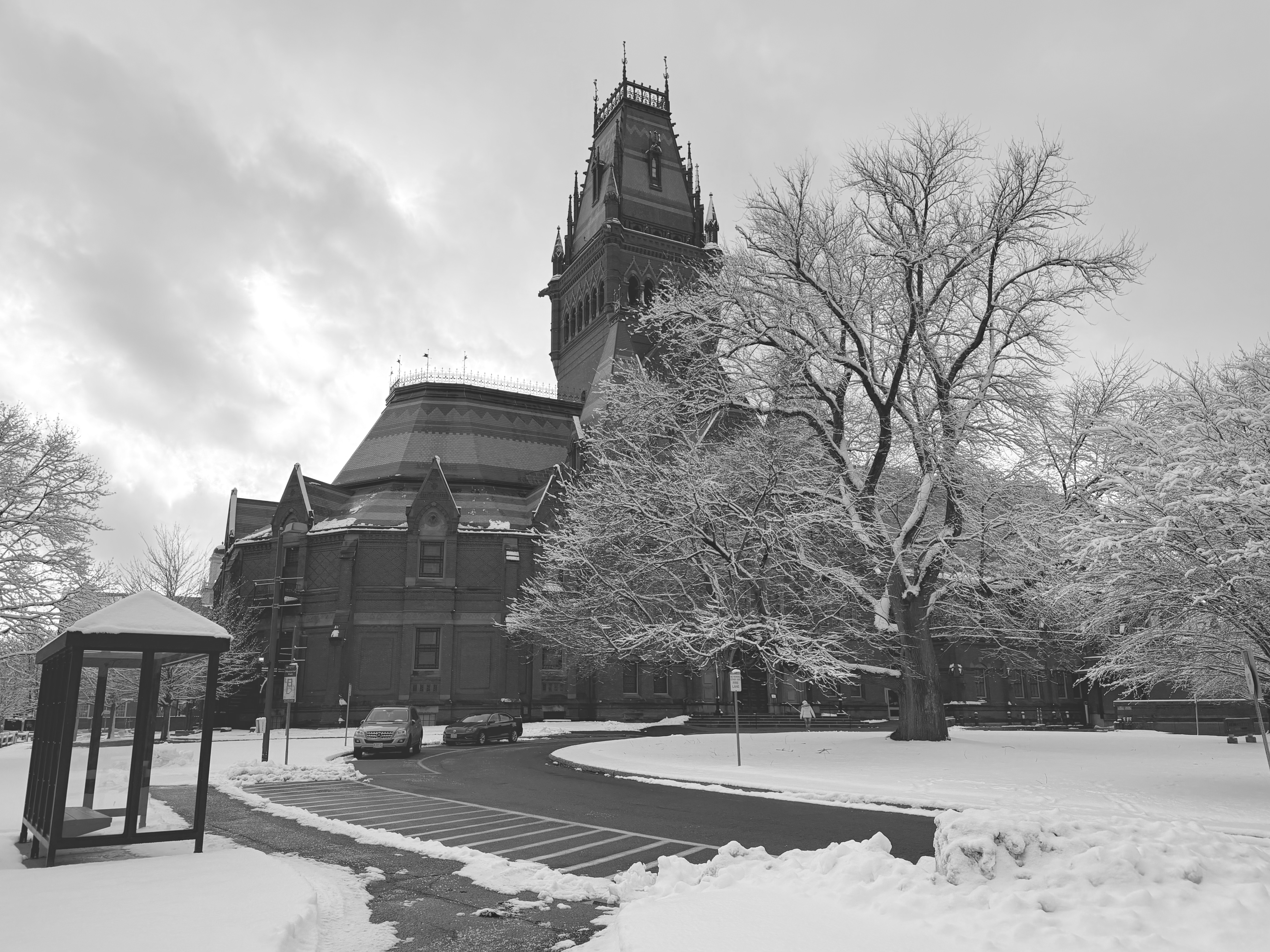 Harvard